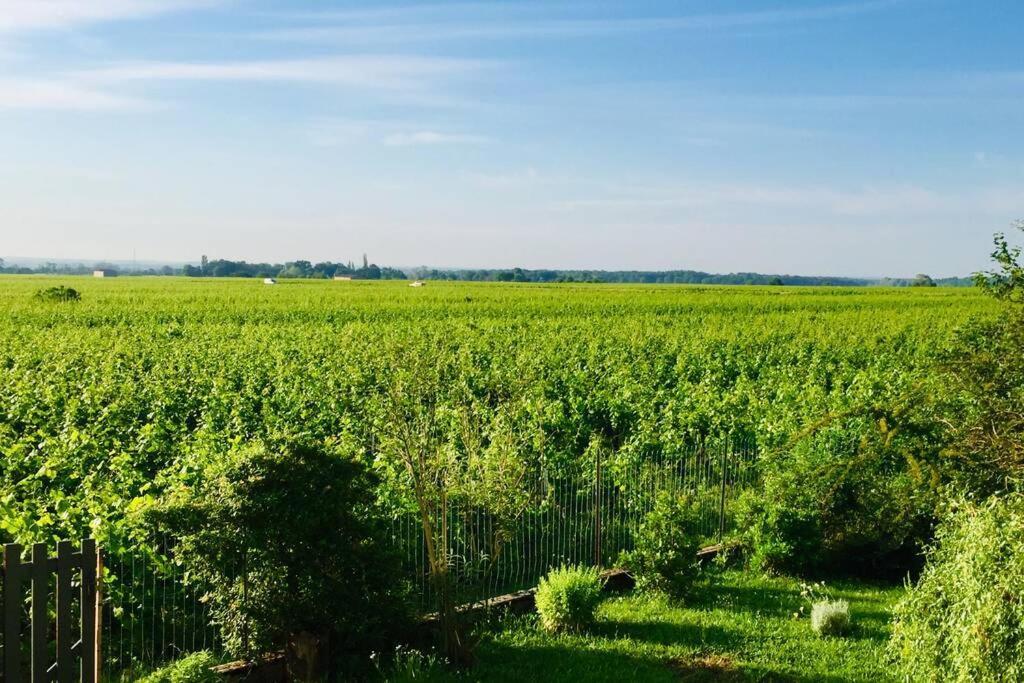 Appartement Avec Vue Sur Les Vignes A Gevrey Exterior photo